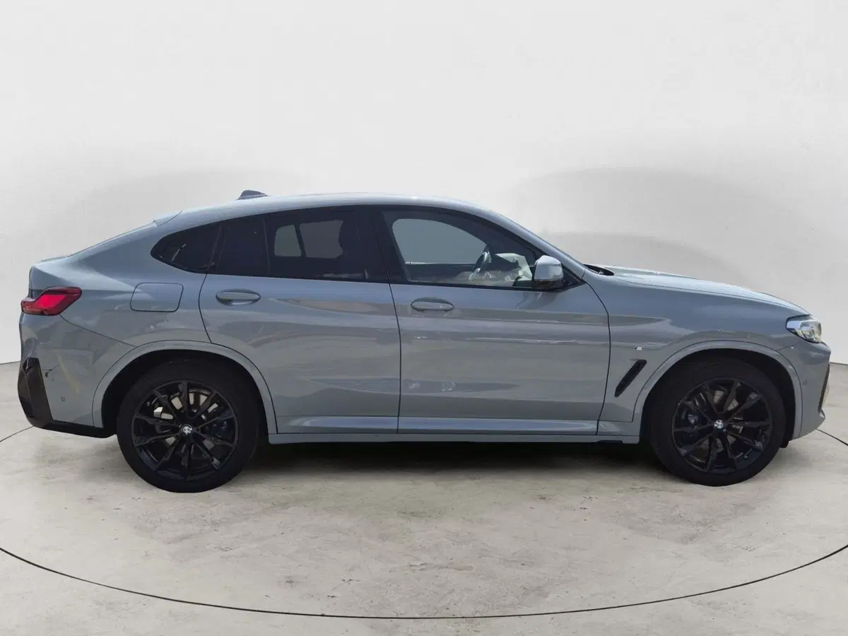 BMW X4 usata  (5)