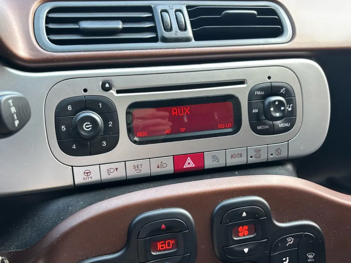Fiat Panda Cross usata a Bologna (11)