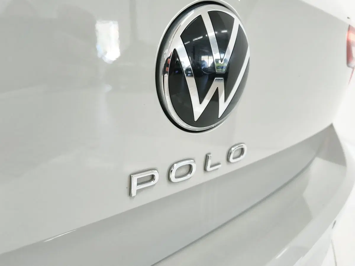 Volkswagen Polo usata a Catanzaro (12)