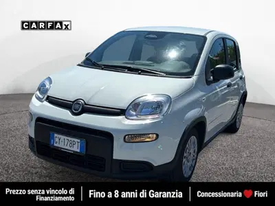 Fiat Pandina 1.0 firefly hybrid s&amp;s 70cv del 2025 usata a Latina