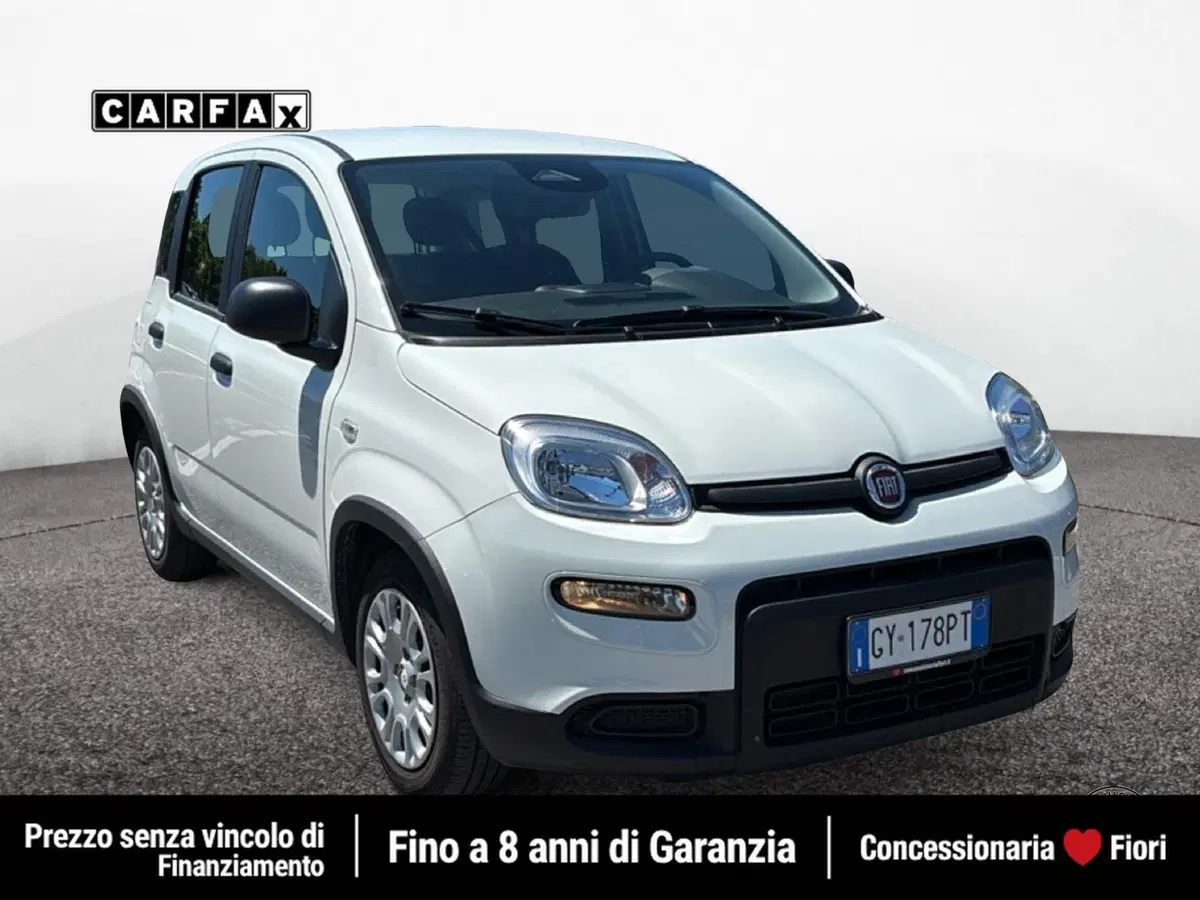 Fiat Pandina usata a Latina (2)