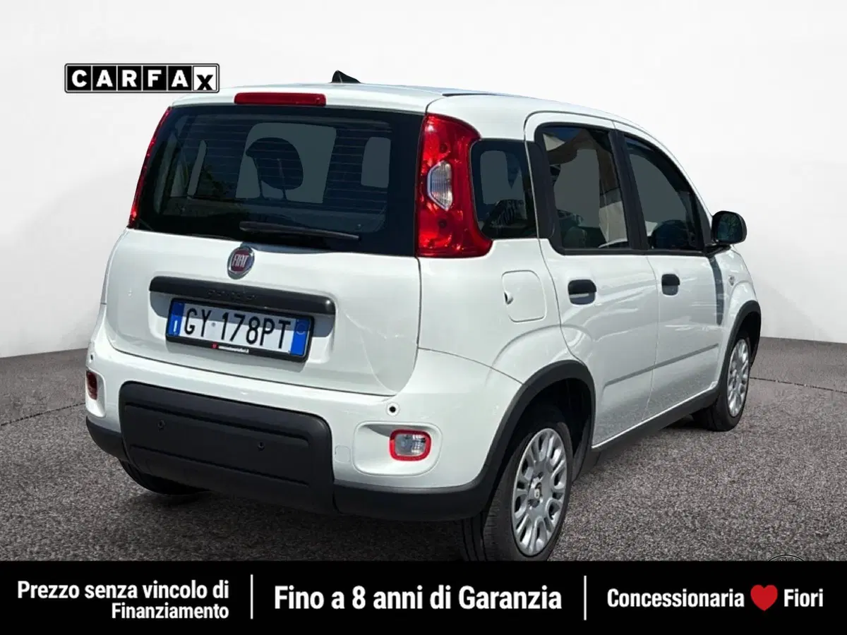 Fiat Pandina usata a Latina (3)