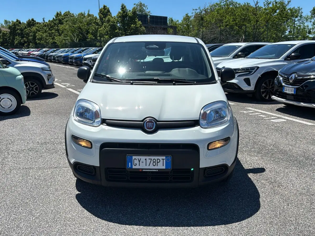 Fiat Pandina usata a Latina (6)