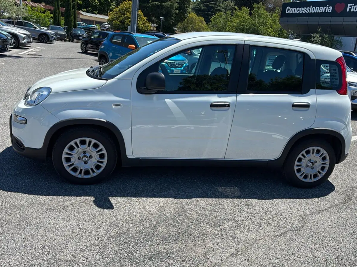 Fiat Pandina usata a Latina (7)