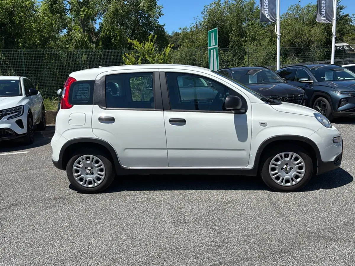 Fiat Pandina usata a Latina (8)