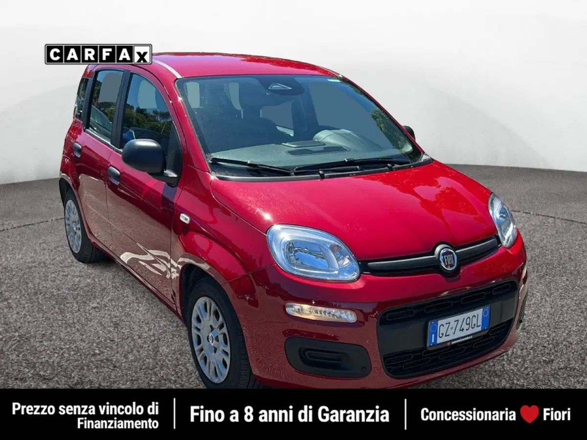 Fiat Pandina usata a Latina (2)