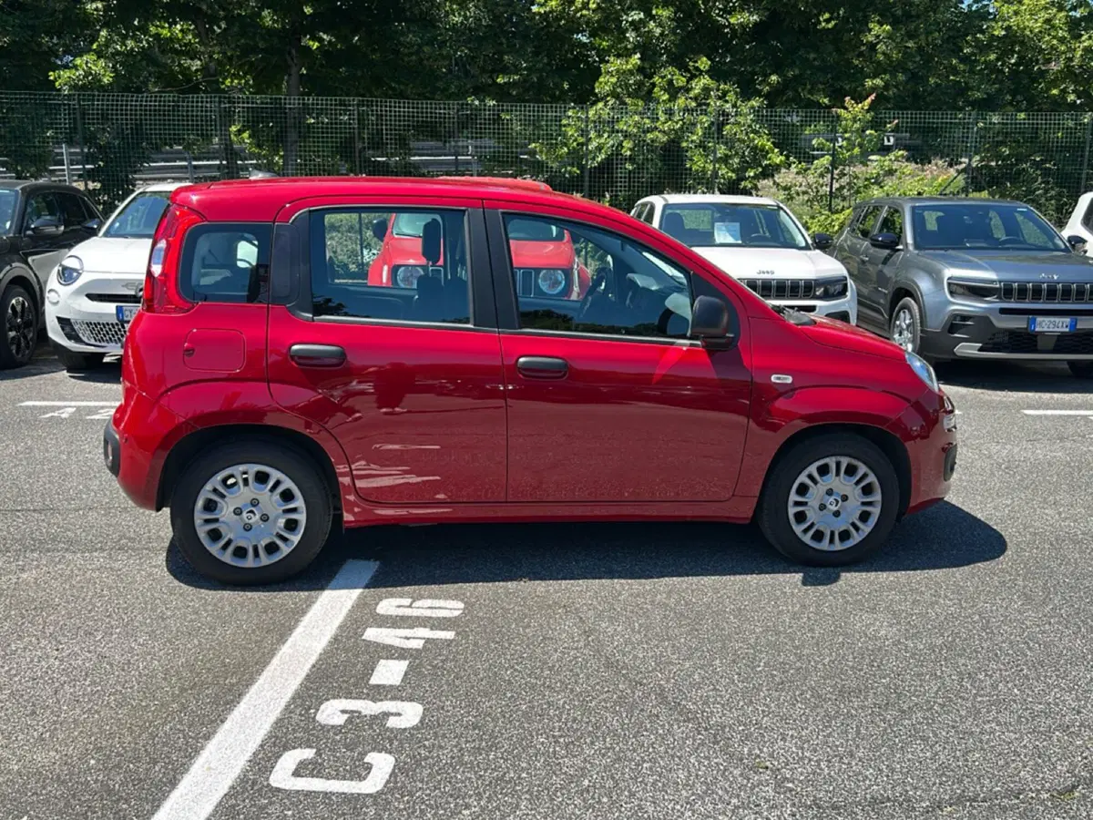 Fiat Pandina usata a Latina (6)