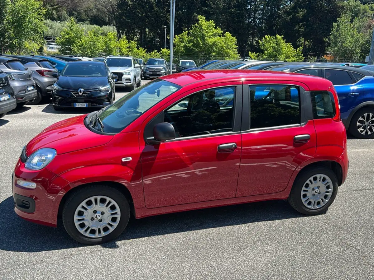 Fiat Pandina usata a Latina (8)