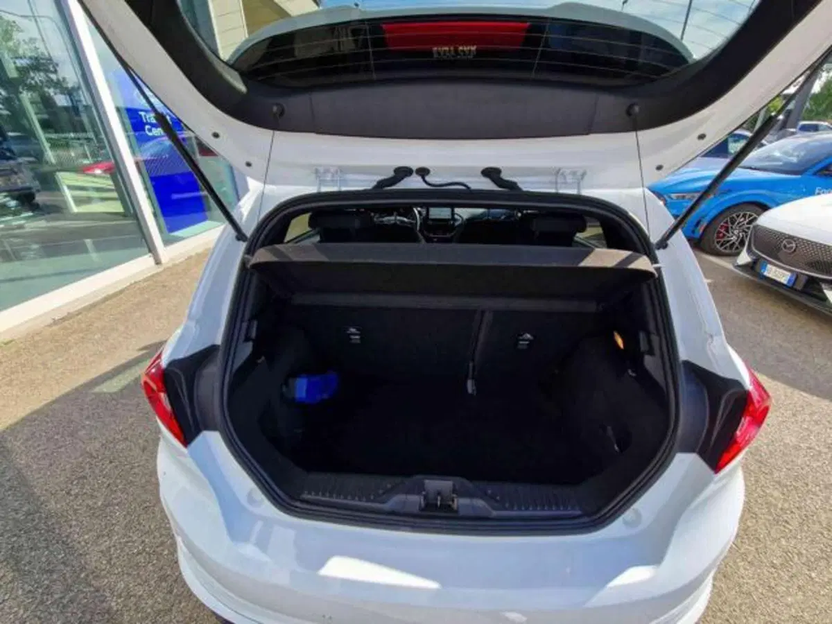 Ford Fiesta usata a Bologna (14)