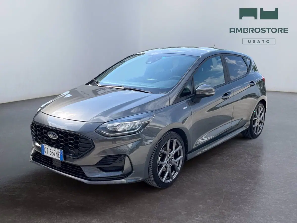 Ford Fiesta usata a Milano