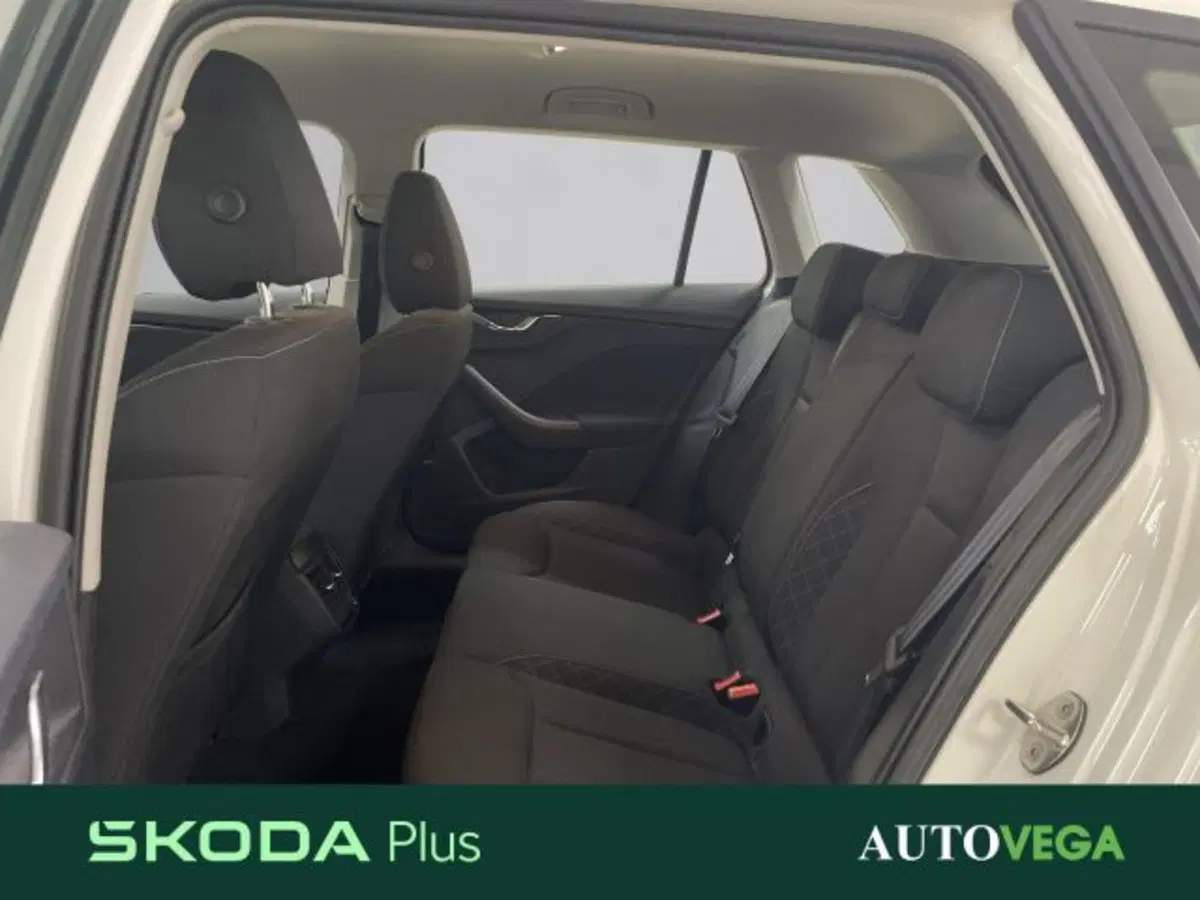 Skoda Kamiq usata a Vicenza (15)