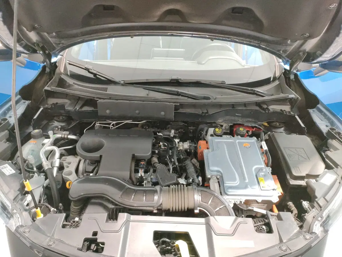 Nissan Juke usata a L'Aquila (10)