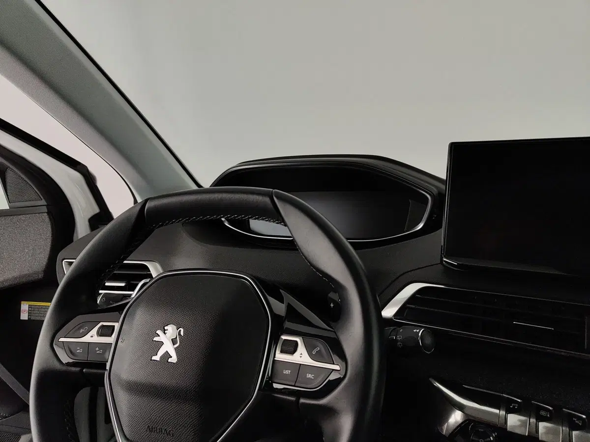 Peugeot 3008 usata a Caserta (20)