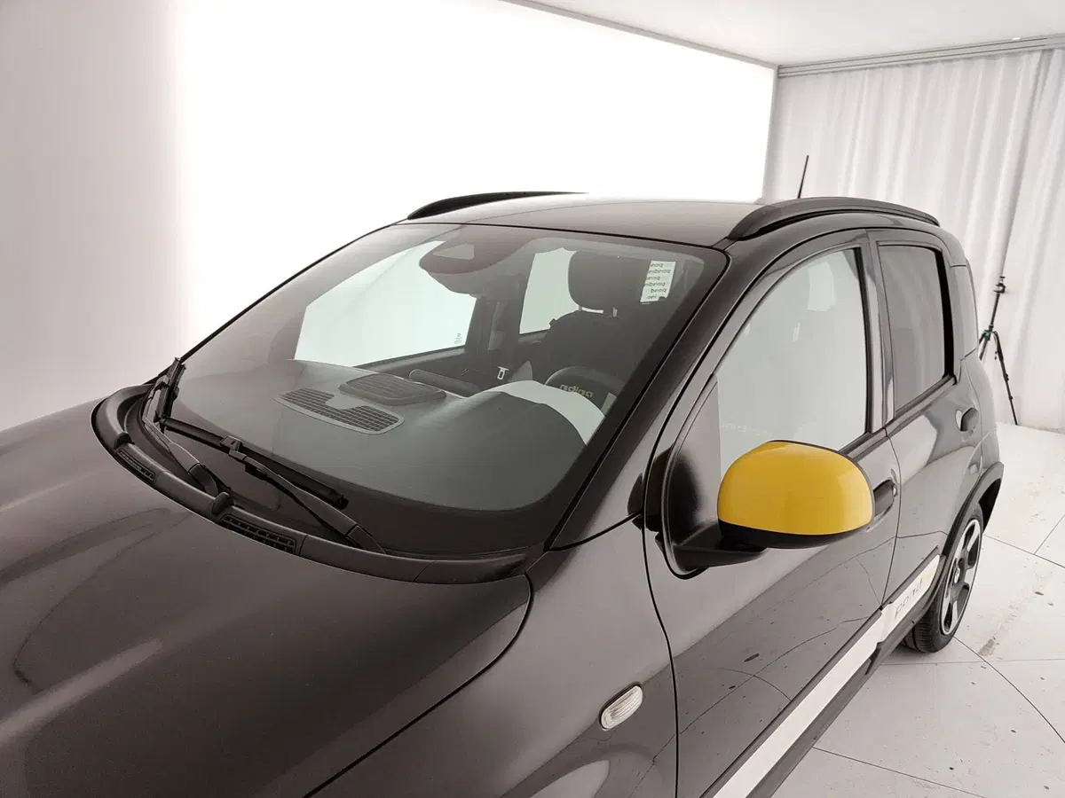 Fiat Pandina usata a Caserta (13)