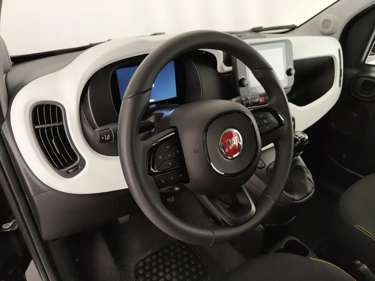 Fiat Pandina usata a Caserta (19)