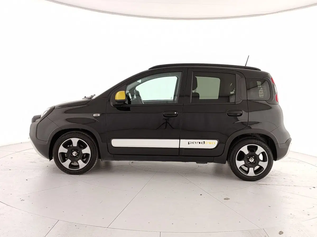 Fiat Pandina usata a Caserta (8)