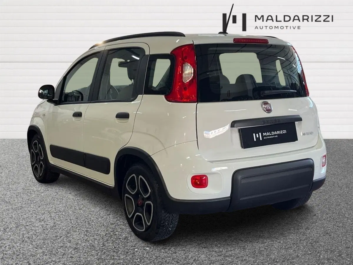 Fiat Panda usata a Bari (4)