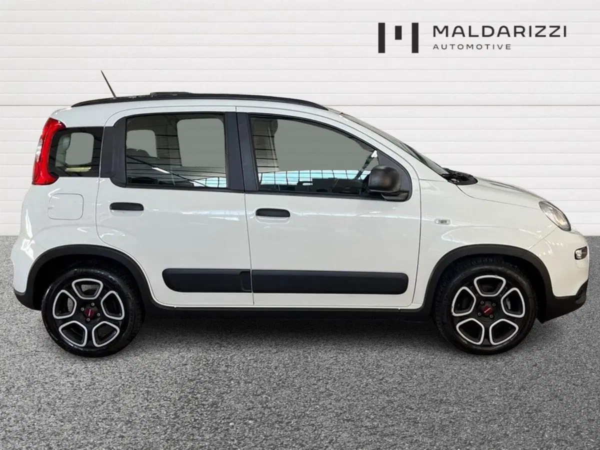 Fiat Panda usata a Bari (5)