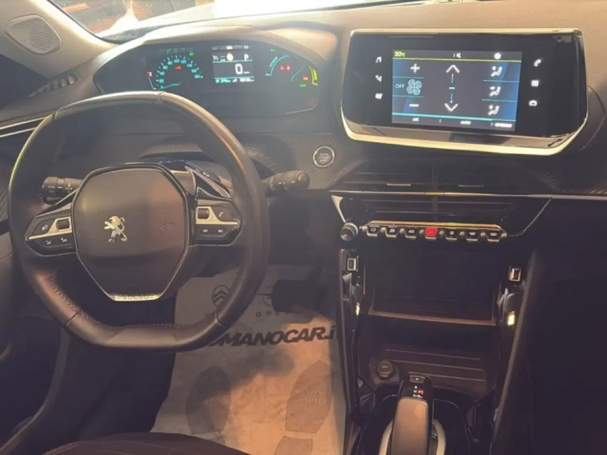 Peugeot 2008 usata a Foggia (12)