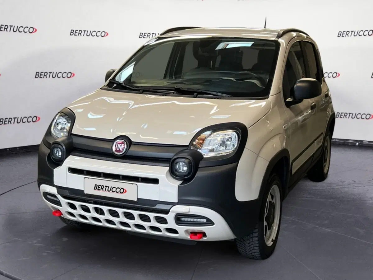 Fiat Panda Cross usata a Verona (2)
