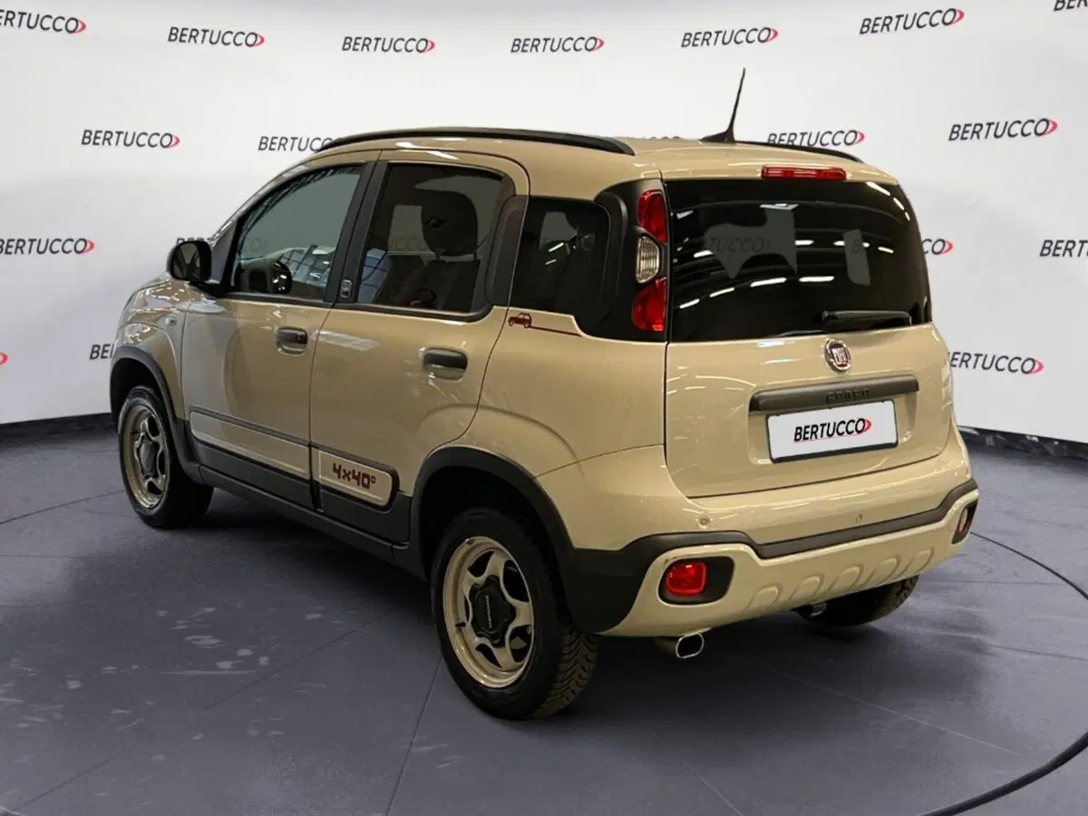 Fiat Panda Cross usata a Verona (4)