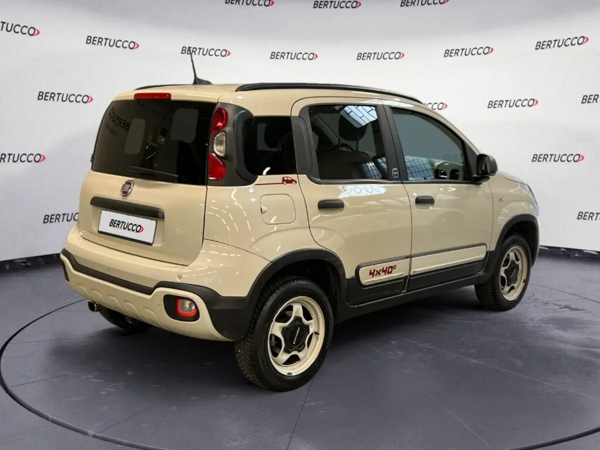 Fiat Panda Cross usata a Verona (5)