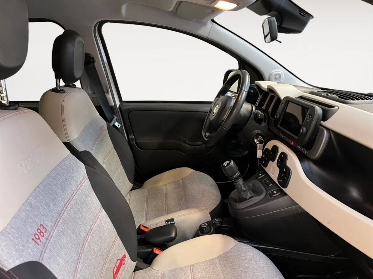 Fiat Panda Cross usata a Verona (6)