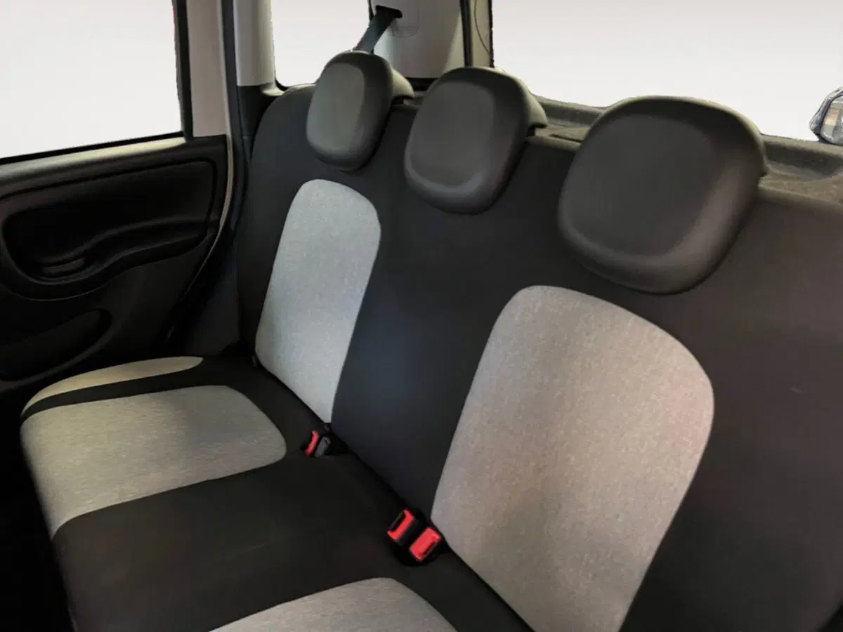 Fiat Panda Cross usata a Verona (9)