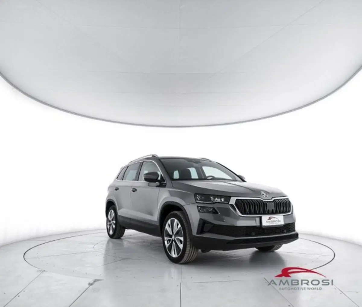 Skoda Karoq usata a Perugia (2)
