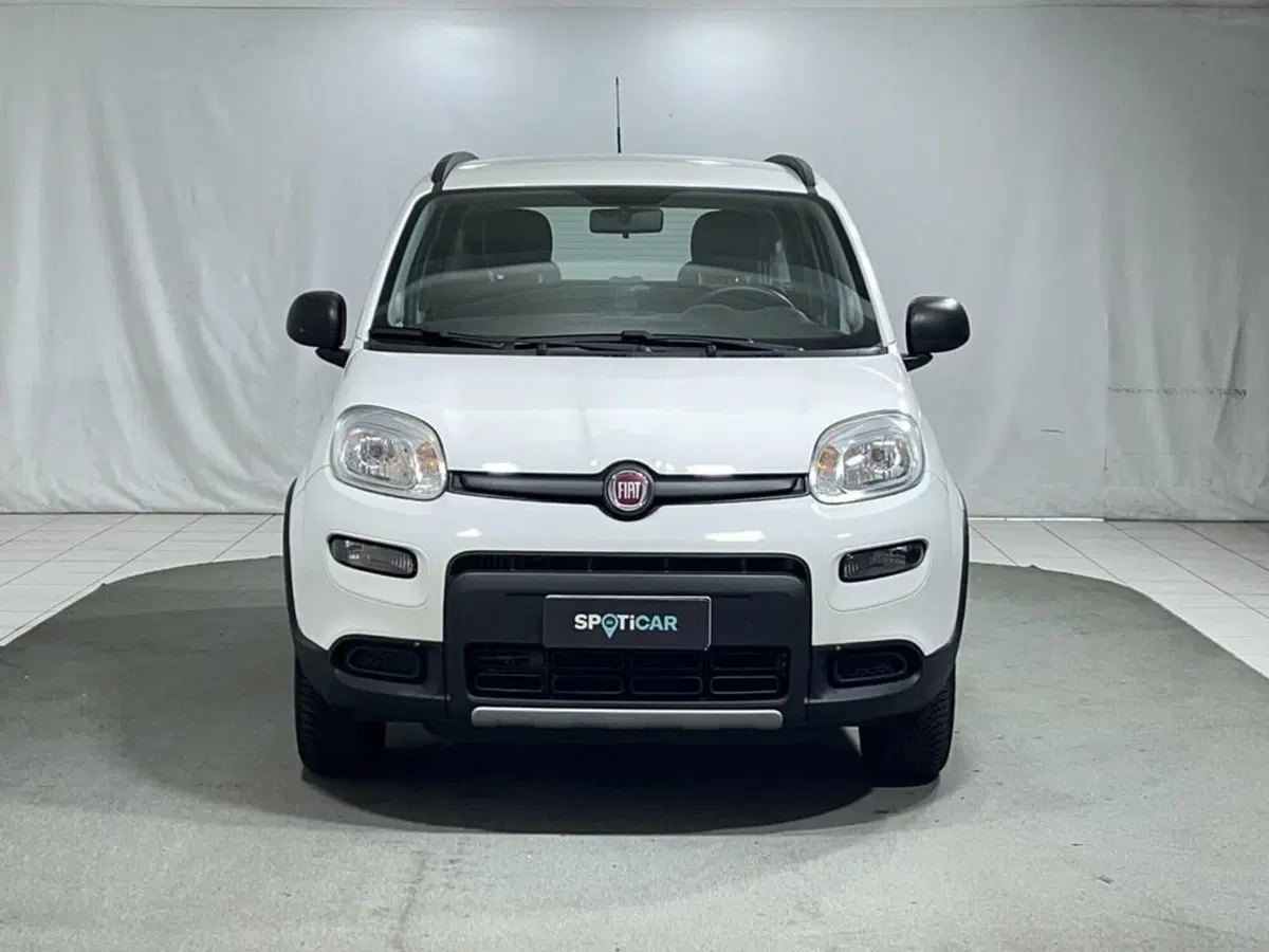 Fiat Panda usata a Sondrio (8)