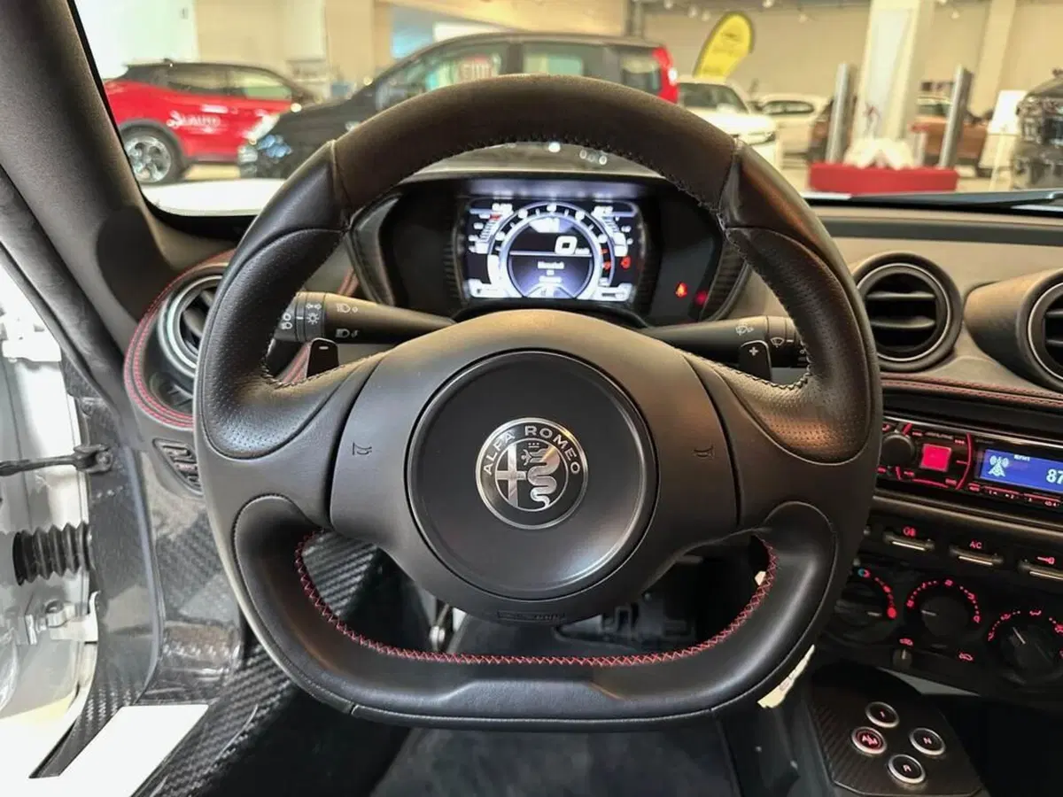 Alfa Romeo 4C Coupé usata a Sondrio (13)