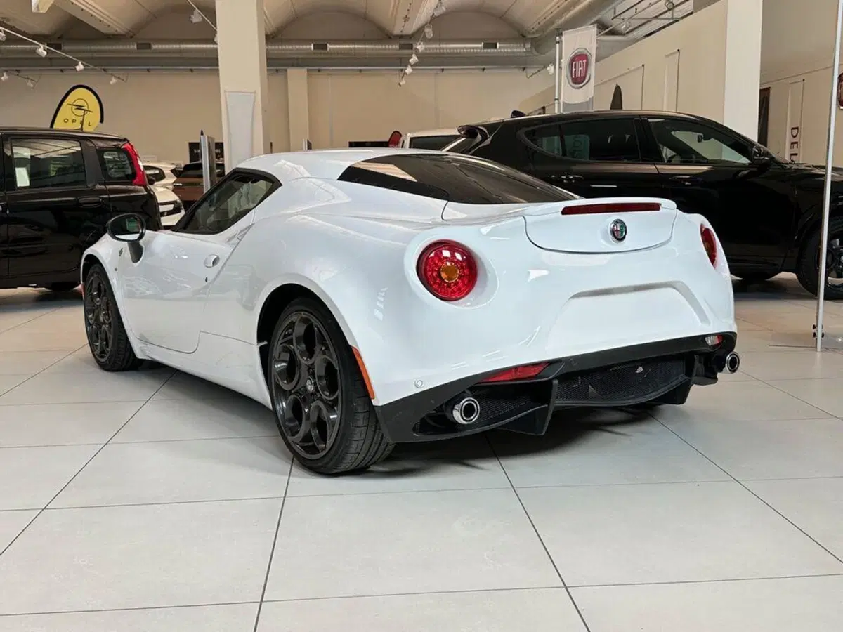 Alfa Romeo 4C Coupé usata a Sondrio (3)