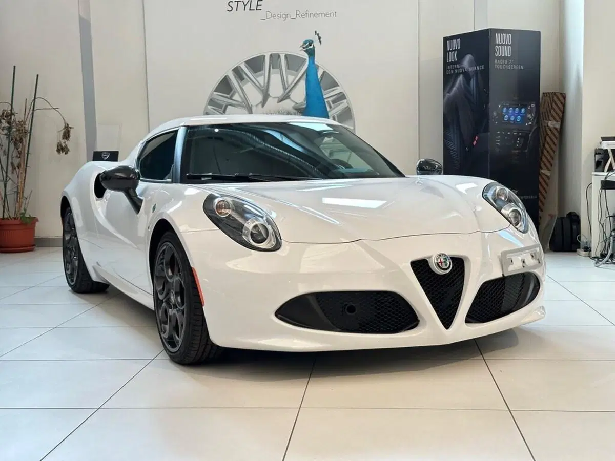 Alfa Romeo 4C Coupé usata a Sondrio (7)
