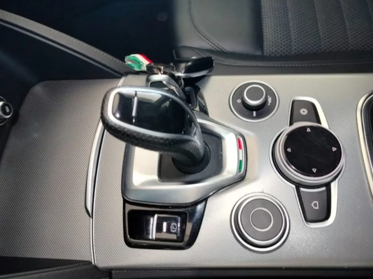 Alfa Romeo Stelvio usata a Forlì-Cesena (20)