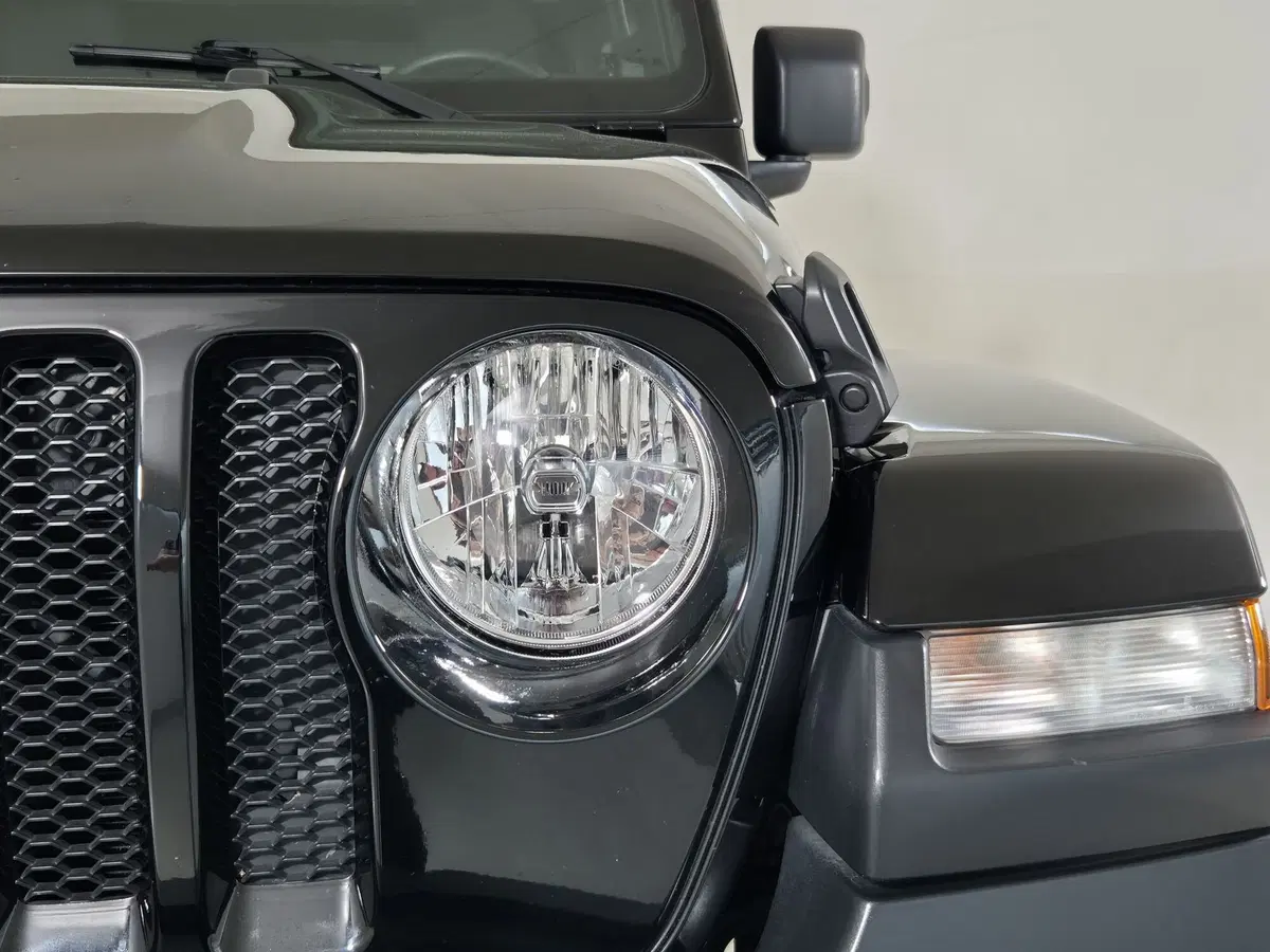 Jeep Wrangler Unlimited usata a Torino (19)