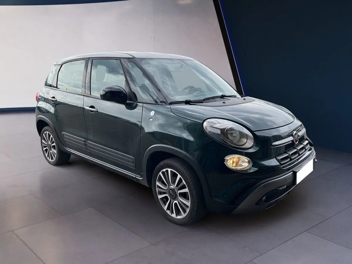 Fiat 500L usata a Torino (2)
