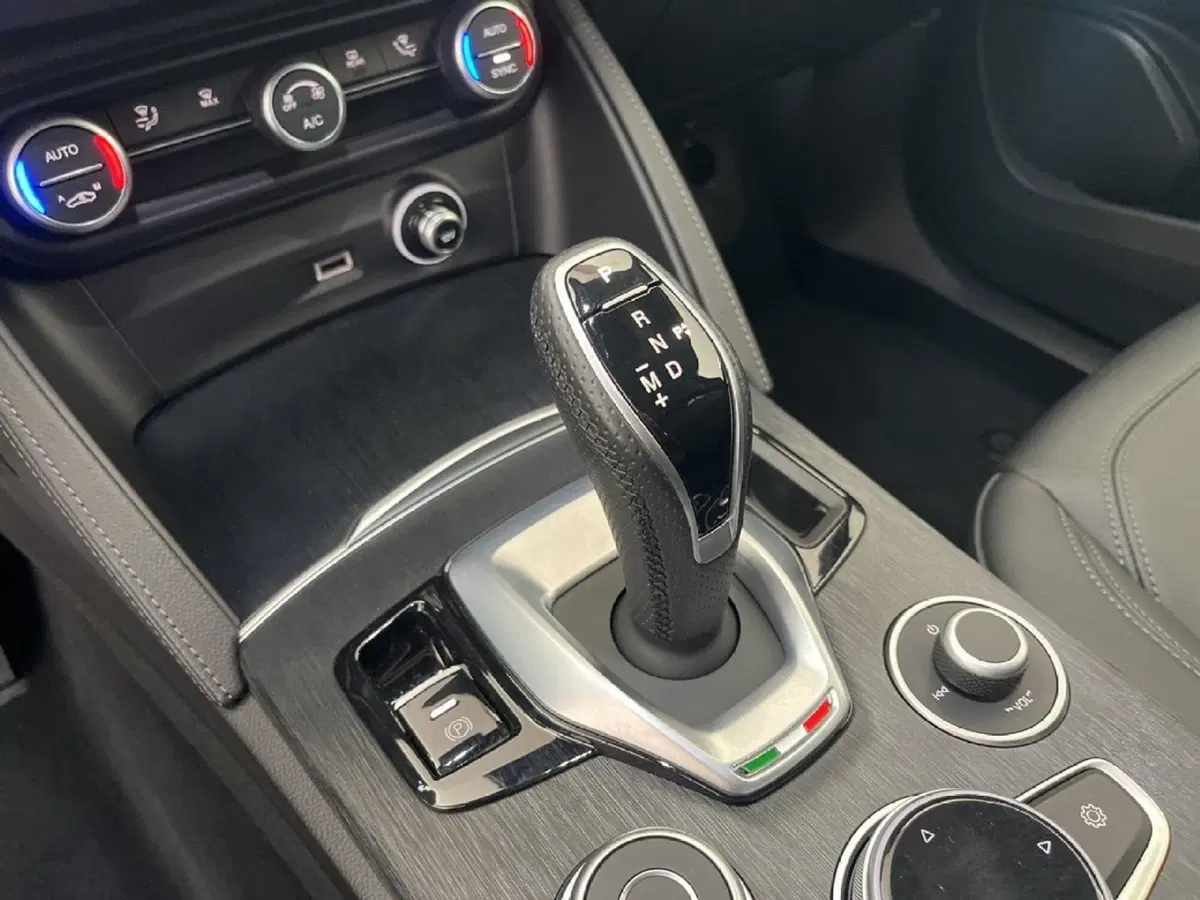 Alfa Romeo Stelvio usata a Torino (15)