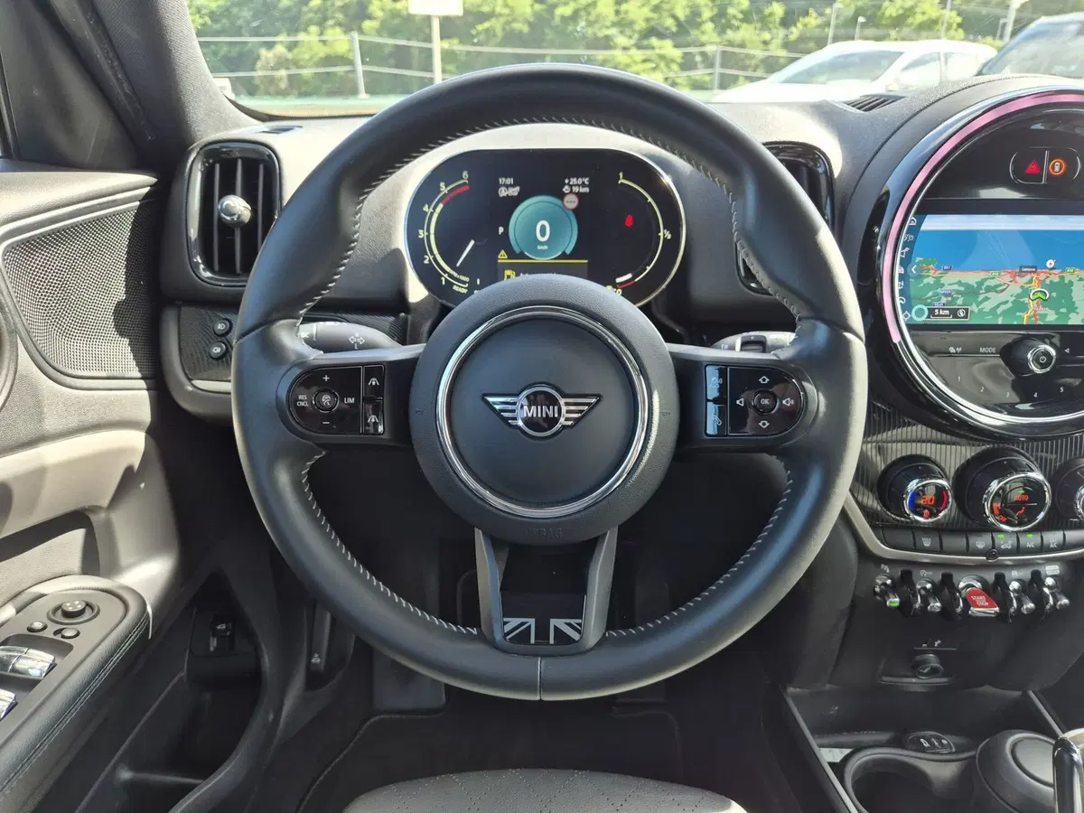 MINI Mini Countryman usata  (19)