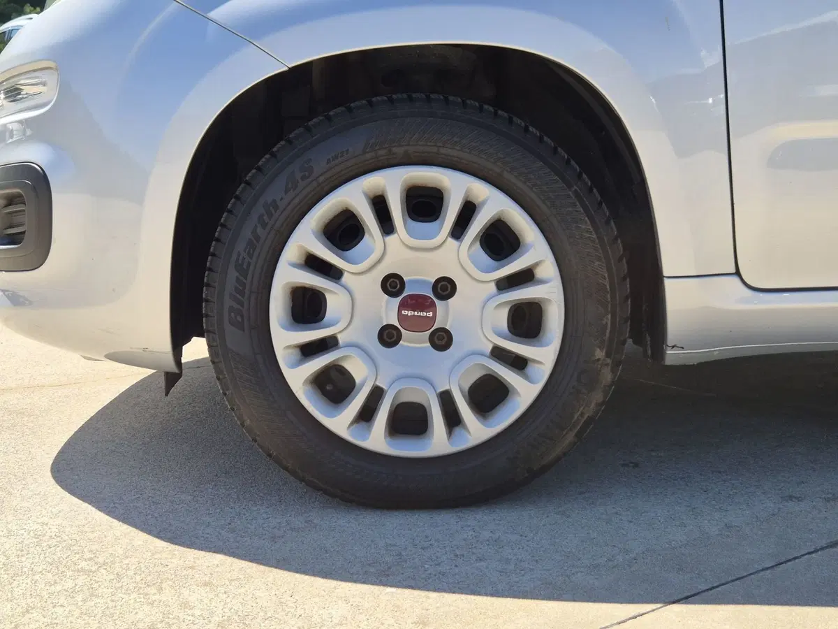 Fiat Panda usata  (12)
