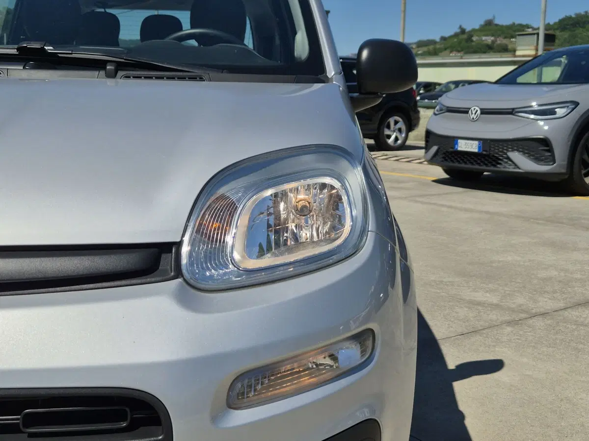 Fiat Panda usata  (14)