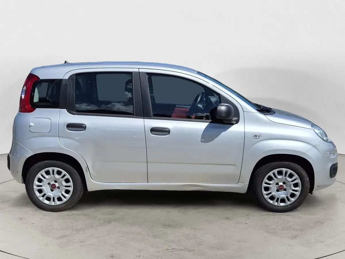 Fiat Panda usata  (5)