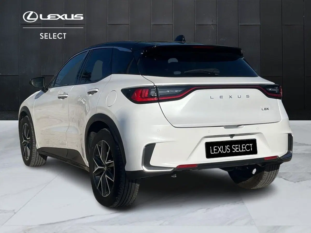 Lexus LBX usata a Ragusa (5)