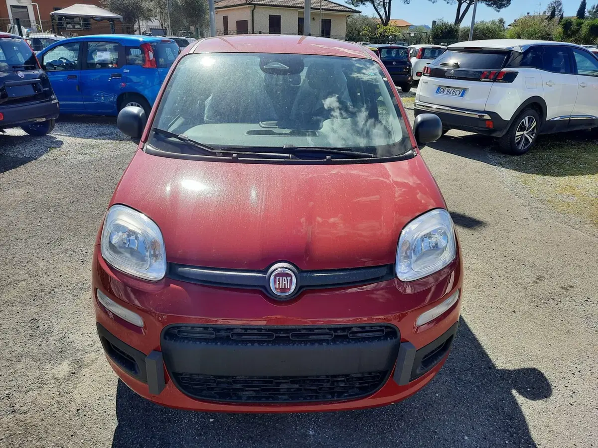 Fiat Pandina nuova a La Spezia (2)