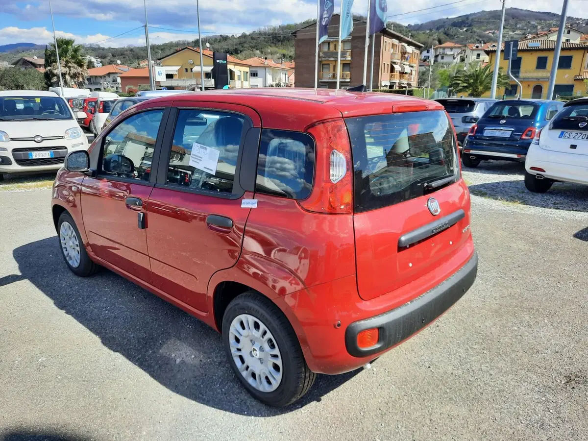 Fiat Pandina nuova a La Spezia (5)