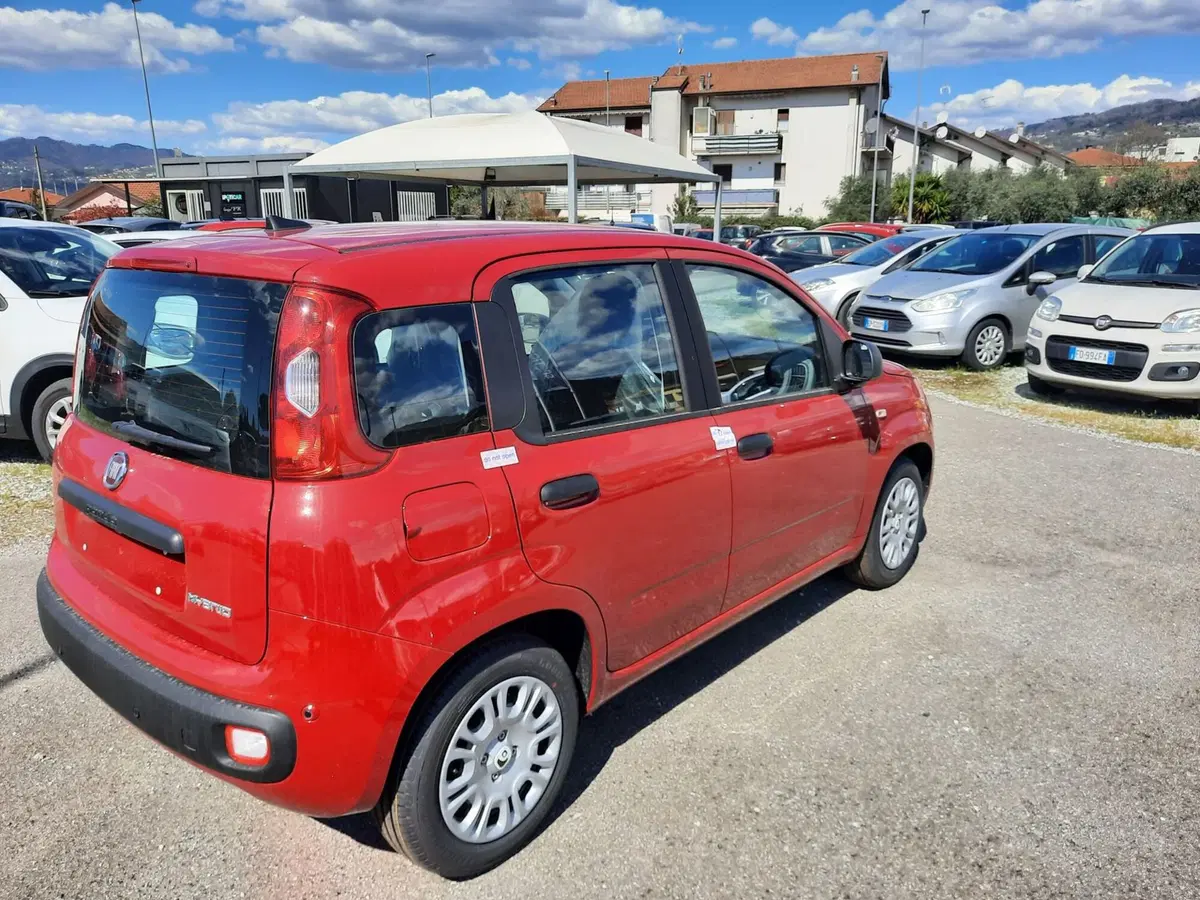 Fiat Pandina nuova a La Spezia (7)