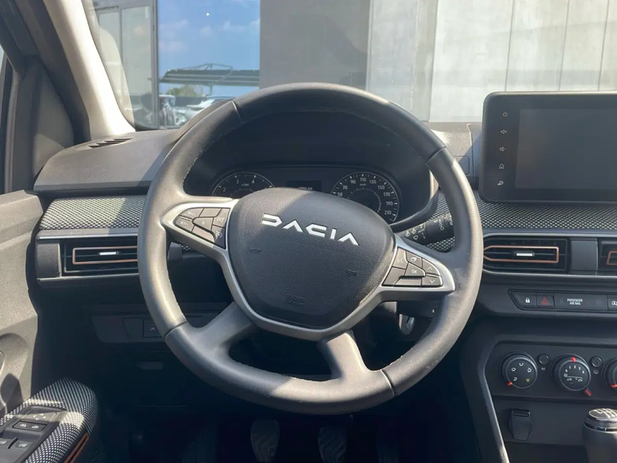 Dacia Sandero usata a Bologna (13)