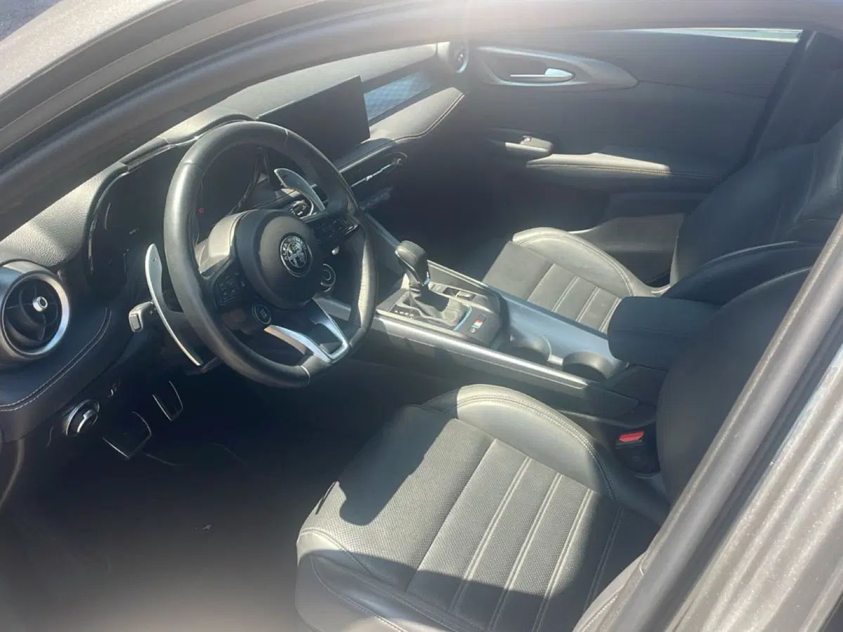 Alfa Romeo Tonale usata a Bologna (12)