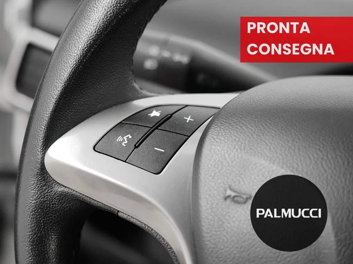 Lancia Ypsilon usata a Prato (19)