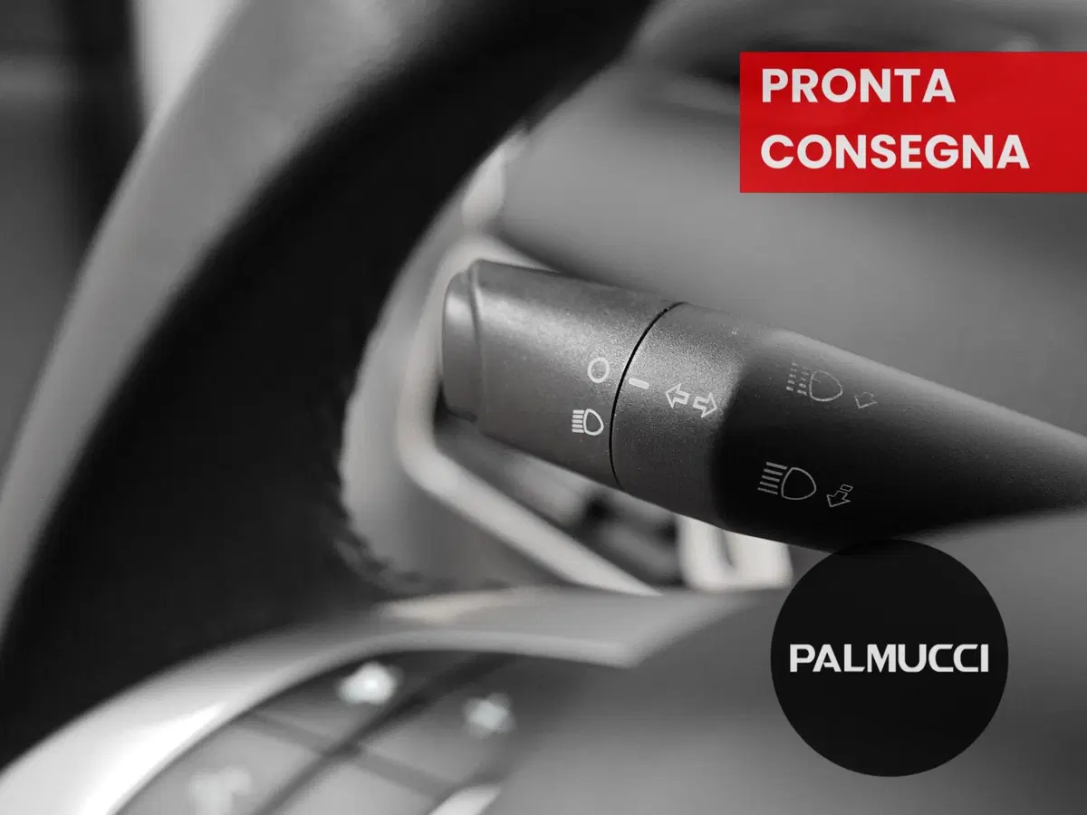Lancia Ypsilon usata a Prato (9)
