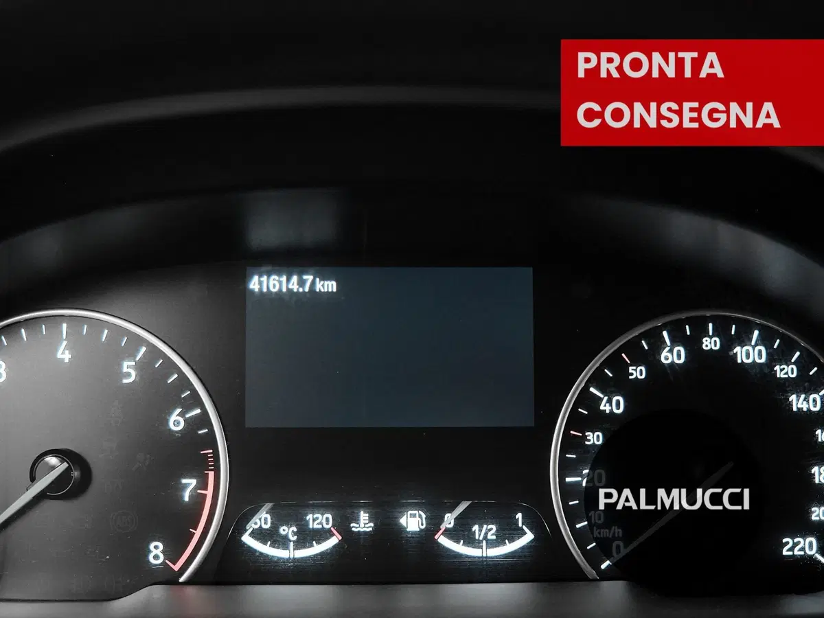 Ford EcoSport usata a Prato (10)